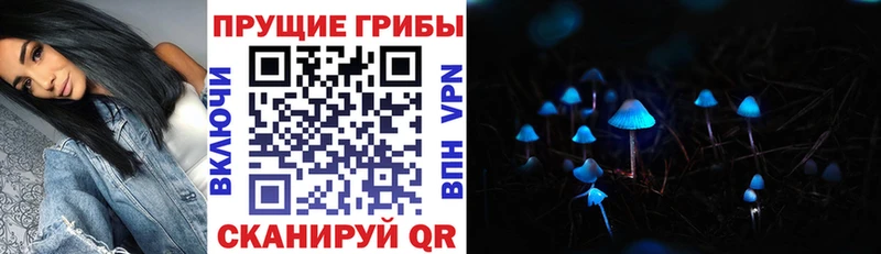 Псилоцибиновые грибы мухоморы Красноперекопск